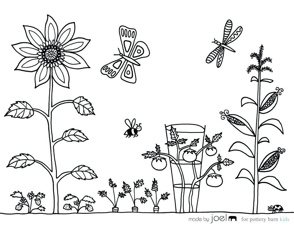 1024x791 Vegetable Garden Coloring Sheet Made