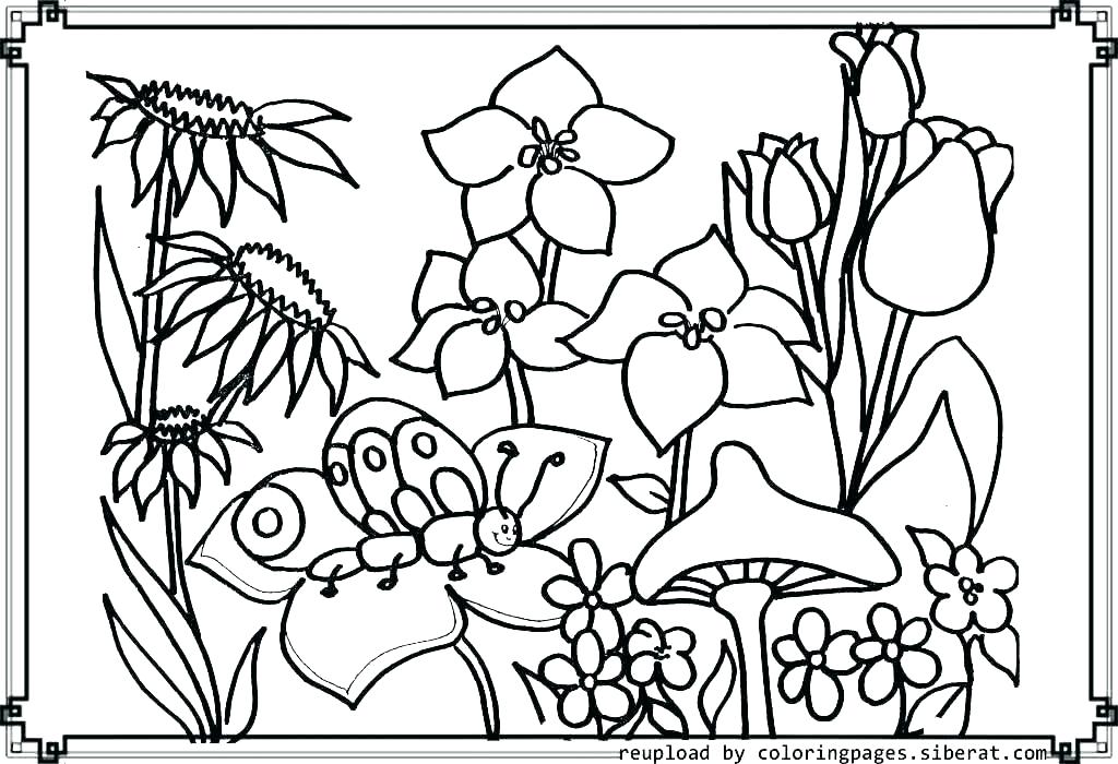 1024x700 Flower Garden Coloring Pages