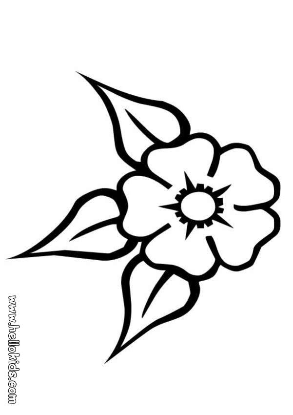 Flower Images Coloring Pages