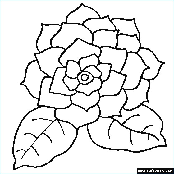 560x560 Flower Coloring Pages Printable