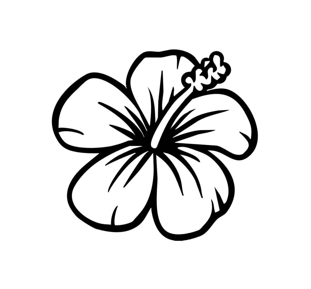 1024x950 Incredible Tropical Flower Coloring Pages To Print U Color Bros