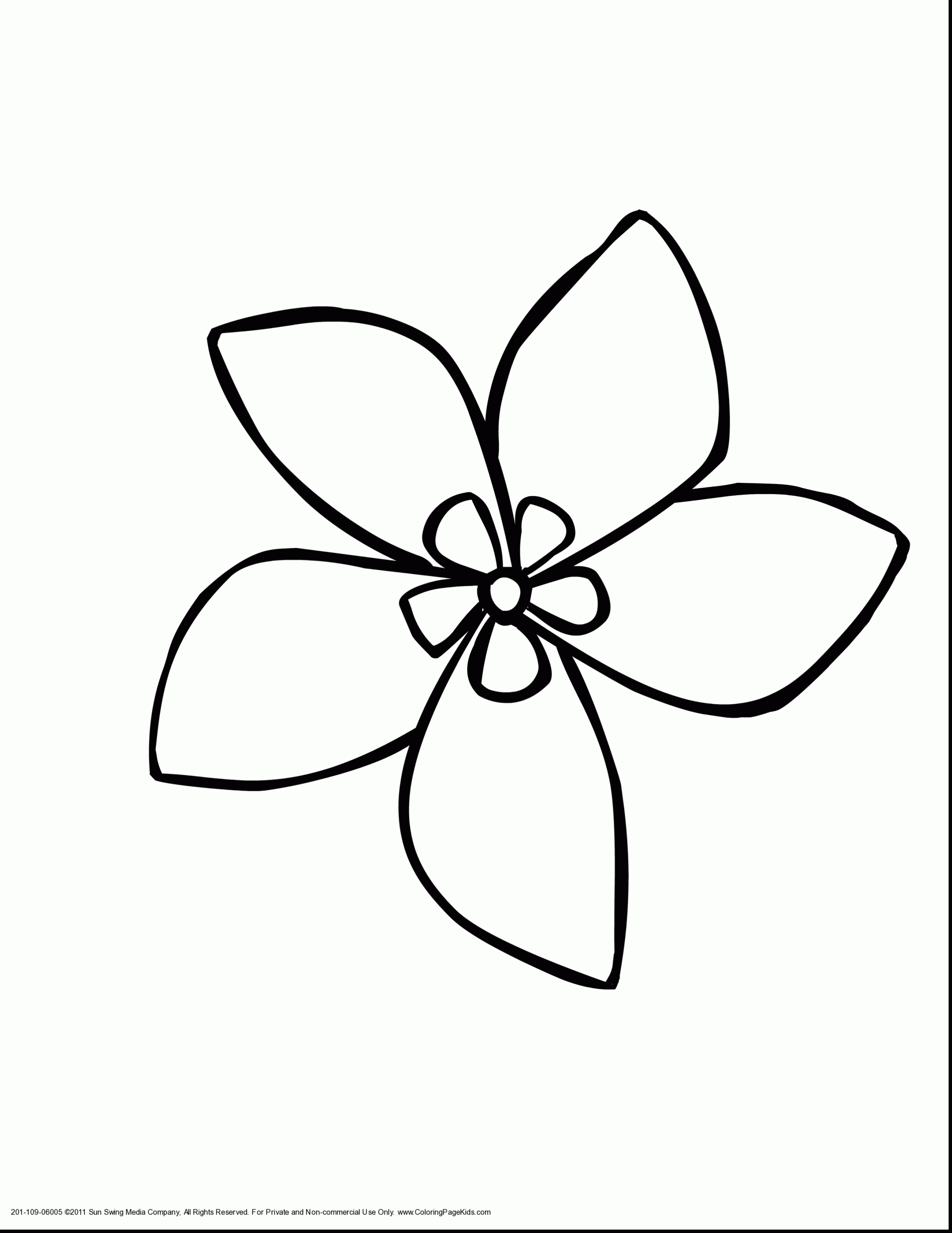 2805x3630 Awesome Jasmine Flower Coloring Pages Design Printable Coloring
