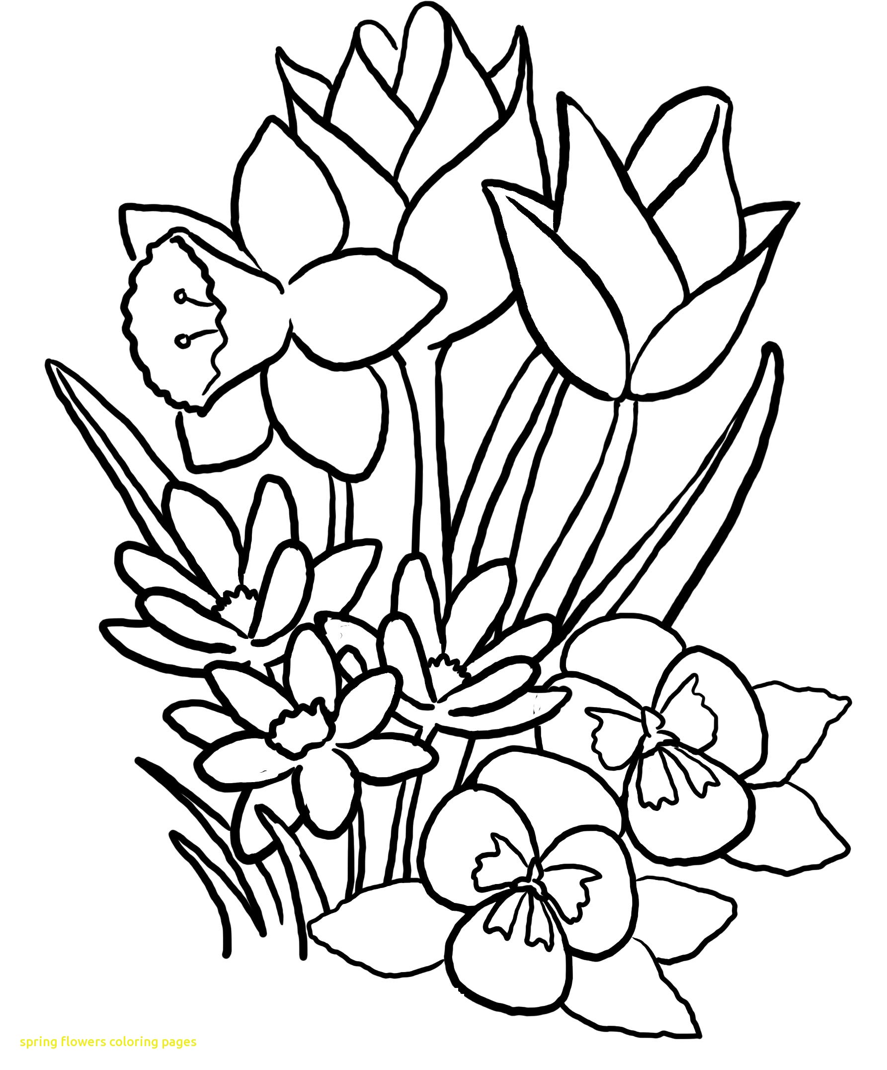 1785x2152 Spring Flower Coloring Pages