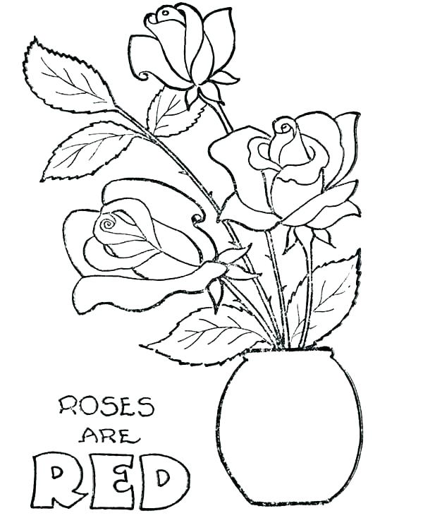 600x734 Poppy Coloring Pages Flower Pot Colouring Pages Poppy Coloring