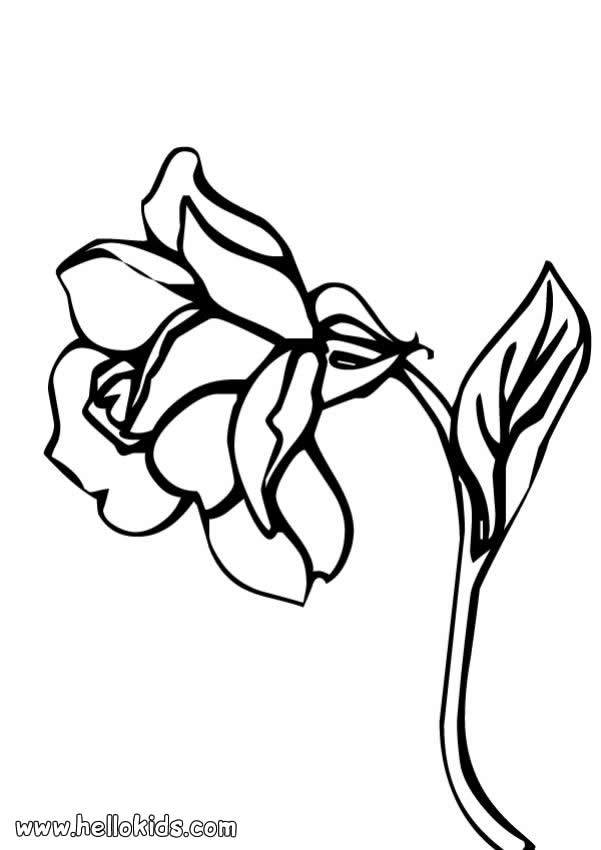601x850 Poppy Petals Coloring Pages