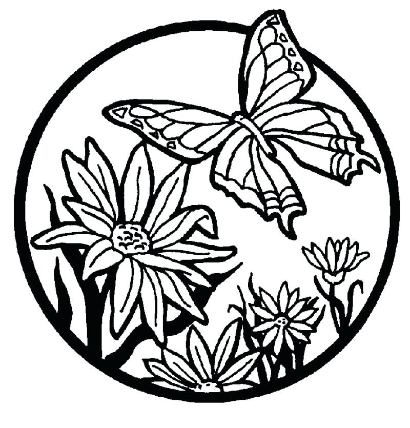 800x835 Coloring Pages Flowers Flower Coloring Books As Well As Flower