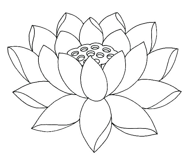 600x524 Electricity Coloring Pages Flower Power Coloring Pages Flower