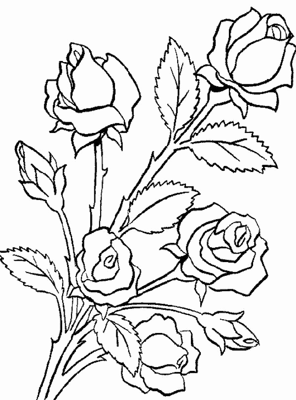 600x812 Flower Power Coloring Pages Photograph Electricity Coloring Pages