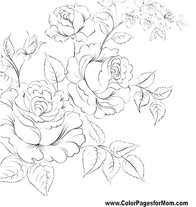 640x676 Beautiful Flower Coloring Pictures Printable Coloring Pages
