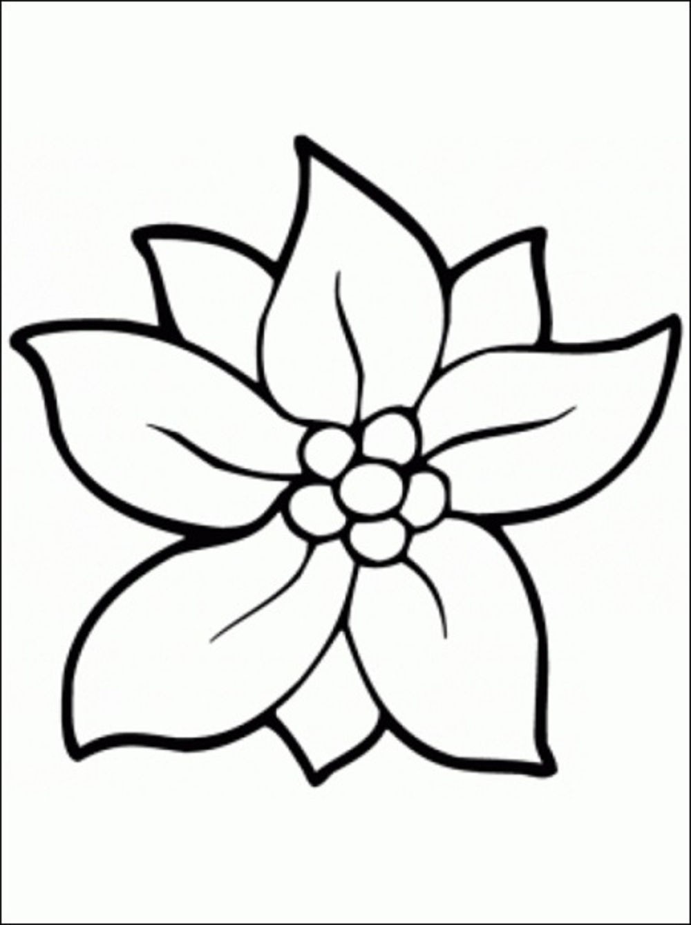 1000x1338 Flower Coloring Pages Color Of Flowers
