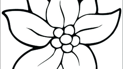 500x280 Flowers Printable Coloring Pages