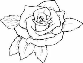 288x221 Rose Coloring Pages Resolution X Kb Size