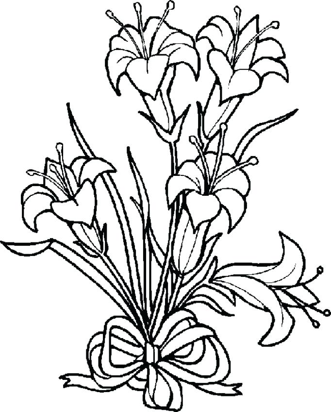 682x848 Luxury Flower Coloring Pages Pdf And Flower Coloring Pages Free