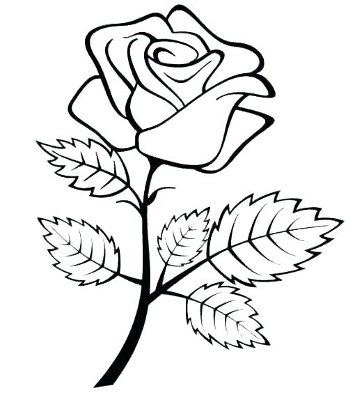 500x594 Flowers And Hearts Coloring Pages Rose Flower Coloring Pages