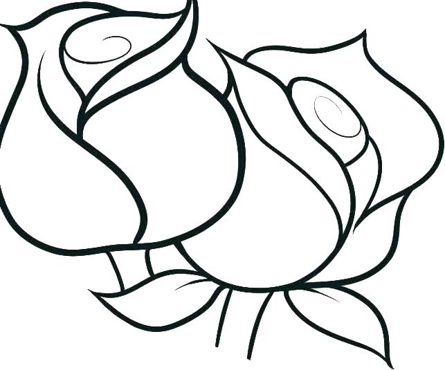 643x535 Rose Flower Coloring Pages Coloring Page Rose Rose Flower Coloring