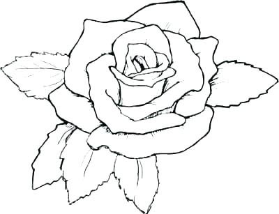 400x307 Rose Flower Coloring Pages For Adults Flower Color Pages Flower
