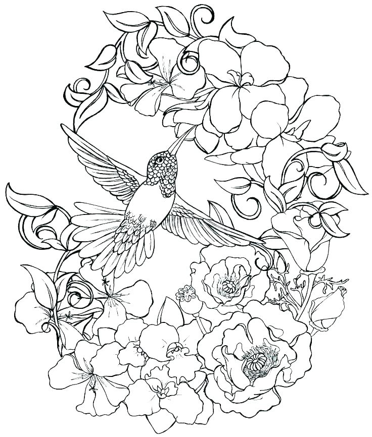 736x866 Realistic Flower Coloring Pages Free Printable Realistic Flower