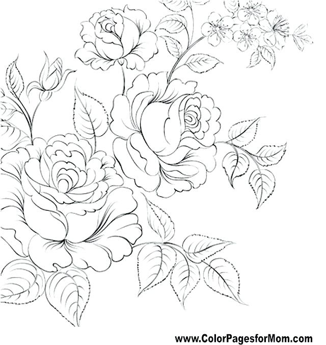 640x676 Flower Coloring Pages For Adults