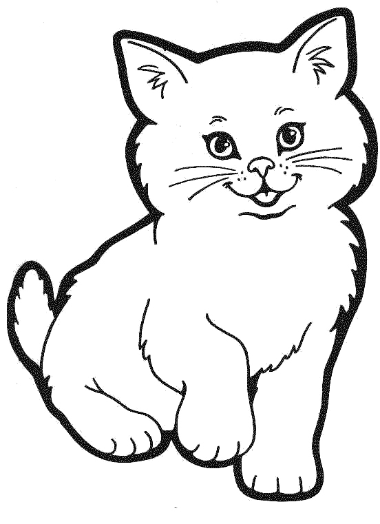 552x761 Best Cute Baby Cat Coloring Pages Cat Coloring Pages Free