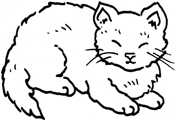 600x411 Cat Closed His Eyes Coloring Page Cat Closed His Eyes Coloring
