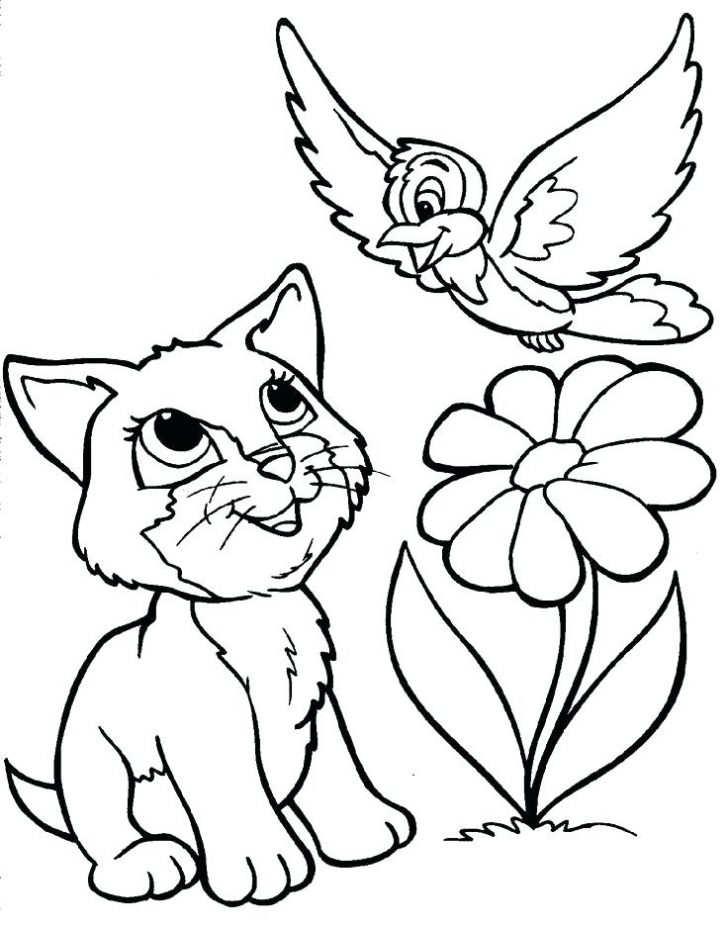 728x926 Beautiful Cat Coloring Pages For Kids Bleupnr