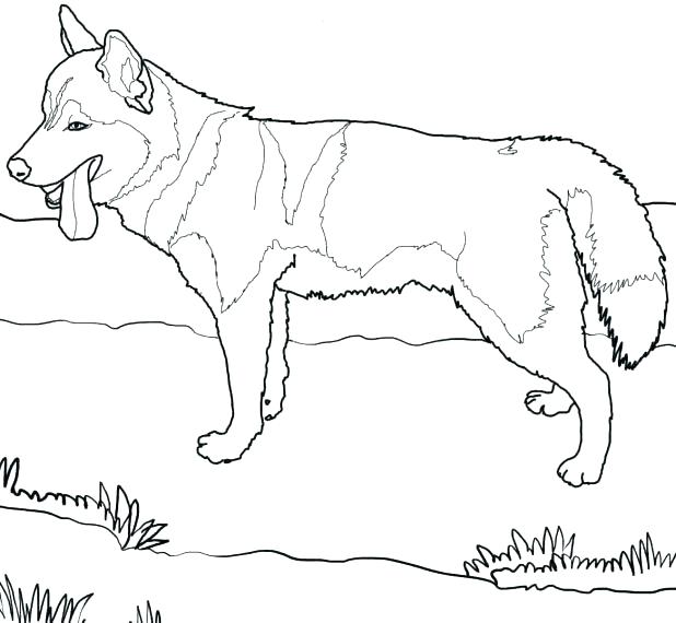 618x570 Dog And Puppy Coloring Pages Baby Puppies Coloring Pages Cute