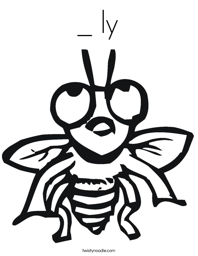 685x886 Fly Coloring Page