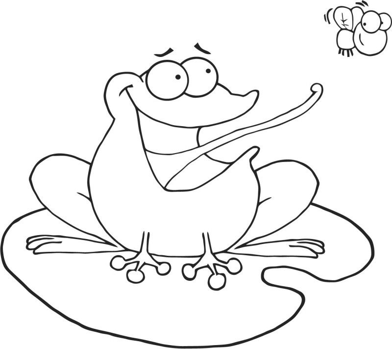 800x711 Frog Cacthing Fly Coloring Page
