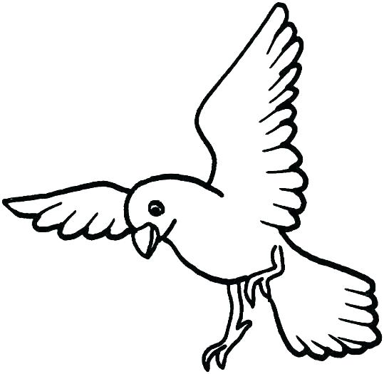 539x525 Bird Flying Coloring Page