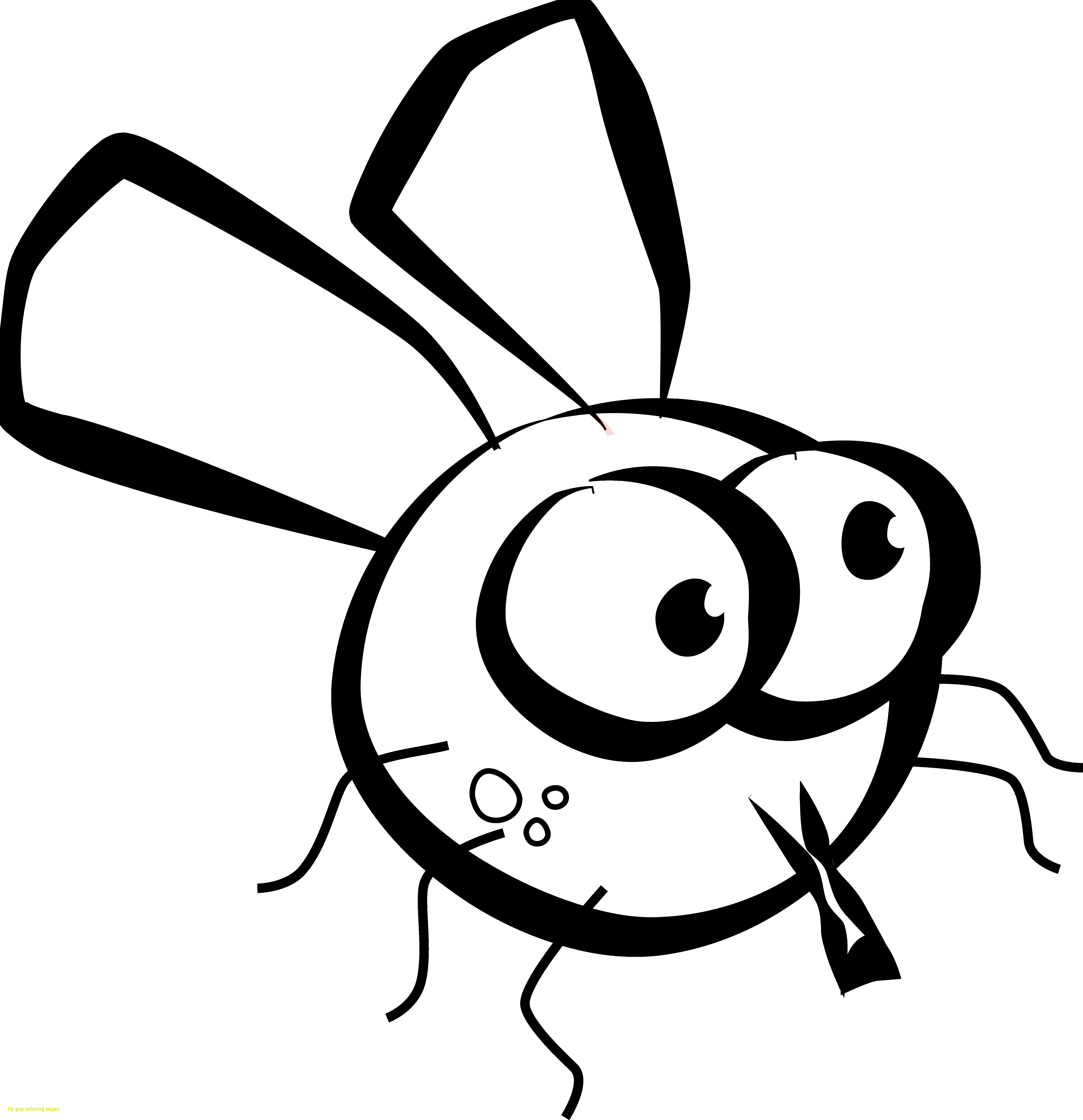 5555x5746 Secrets Fly Guy Coloring Pages Free Simple Fli