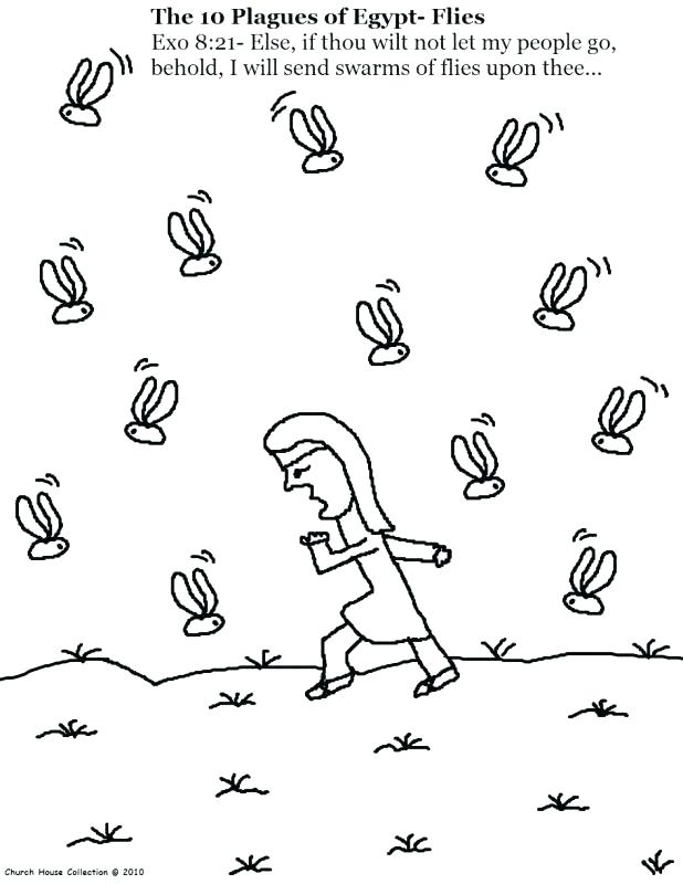 618x800 Fly Coloring Pages S Dragon Free Fly Guy Coloring Pages