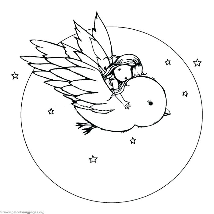 700x700 Coloring Pages Bird Exquisite Decoration Birds Coloring Pages Bird
