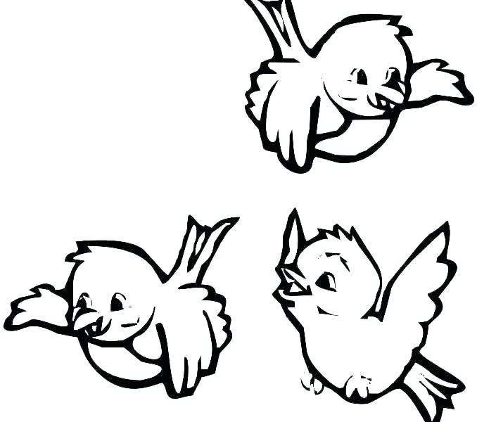 678x600 Flying Bird Coloring Pages Coloring Pictures Of Birds Flying