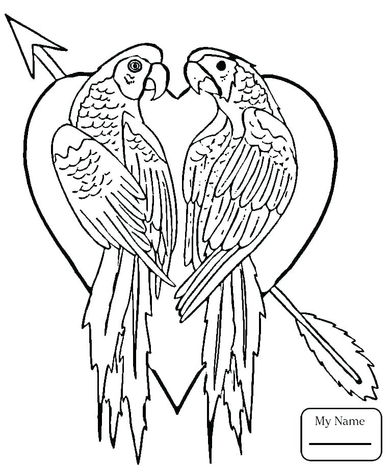 765x922 Flying Bird Coloring Page