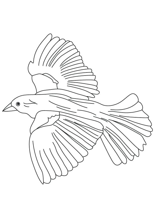 613x860 Flying Bird Coloring Page
