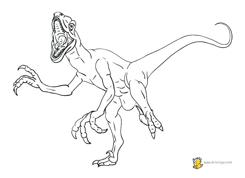 792x576 Pterodactyl Coloring Page Flying Reptile Coloring Page Coloring