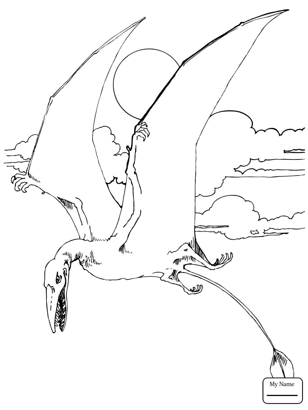1224x1632 Pterodactyl Dinosaur Coloring Page Free Printable Pages Brilliant