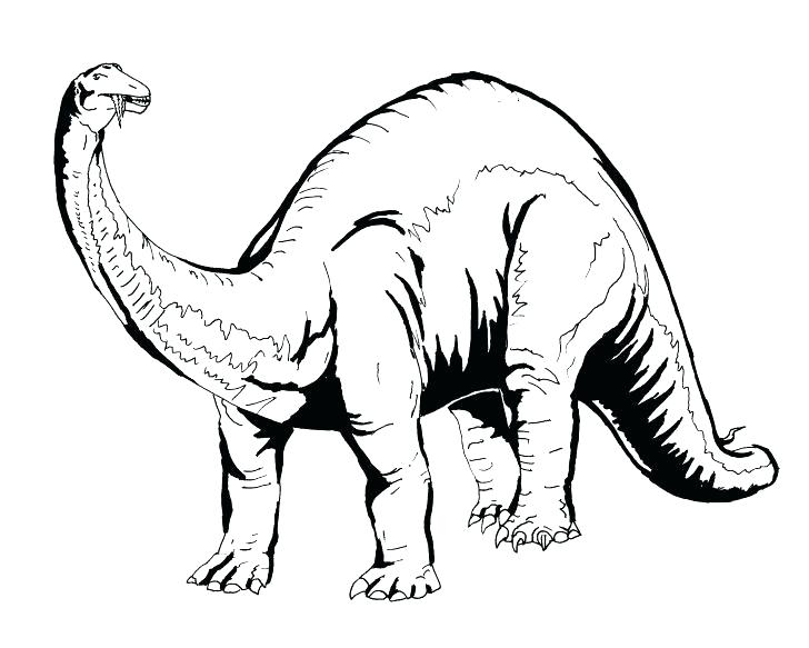 728x583 Coloring Dinosaurs Best Dinosaur Coloring Pages Ideas On X