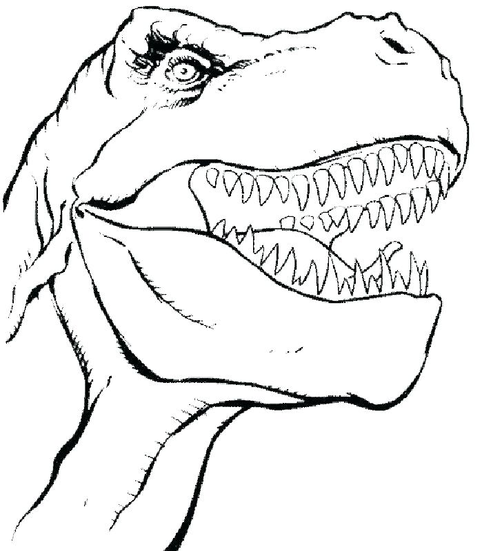 699x800 Dinosaur Coloring Pages Dinosaur Coloring Pages Free T Coloring