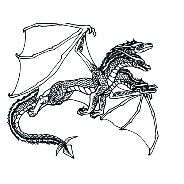 600x600 Free Dragon Coloring Pages Free Dragon Coloring Pages Puff