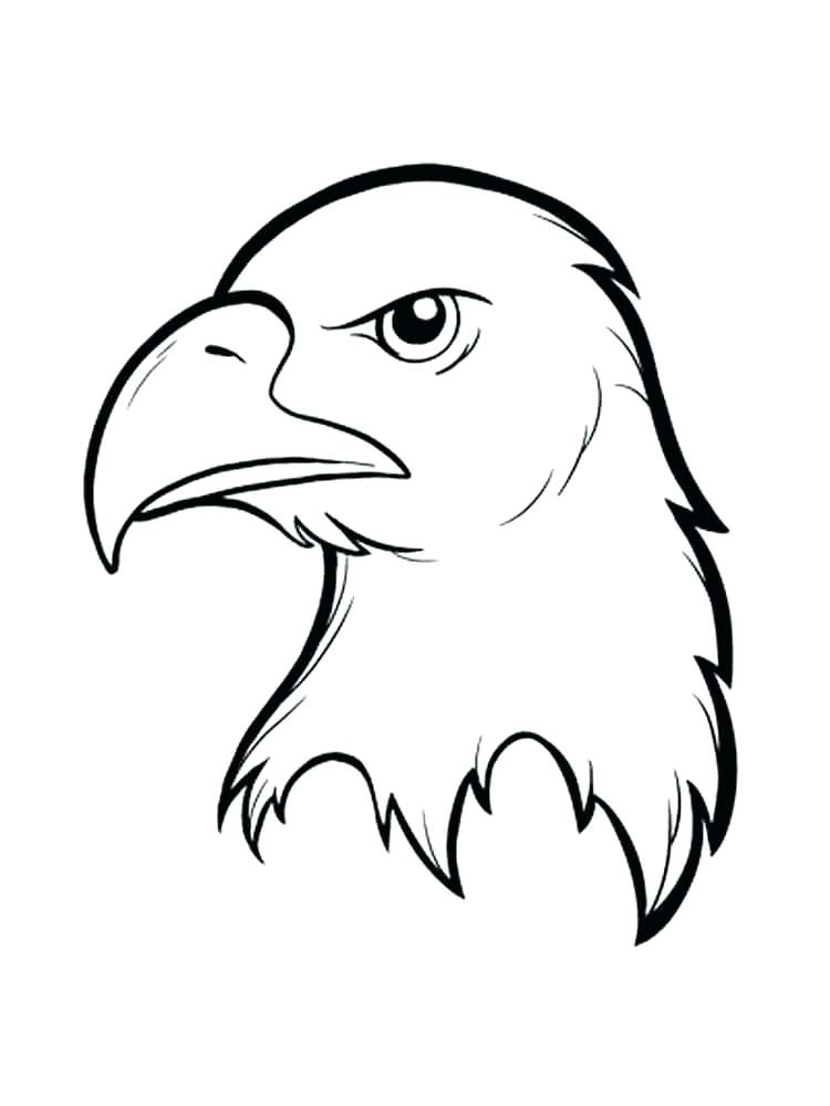 750x1000 Coloring Pages Of Eagles Coloring Page Of An Eagle Eagle Birds