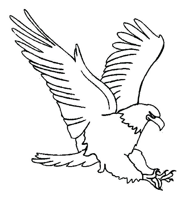 600x647 Elegant Coloring Page Of An Eagle For Coloring Pages Eagles Eagle