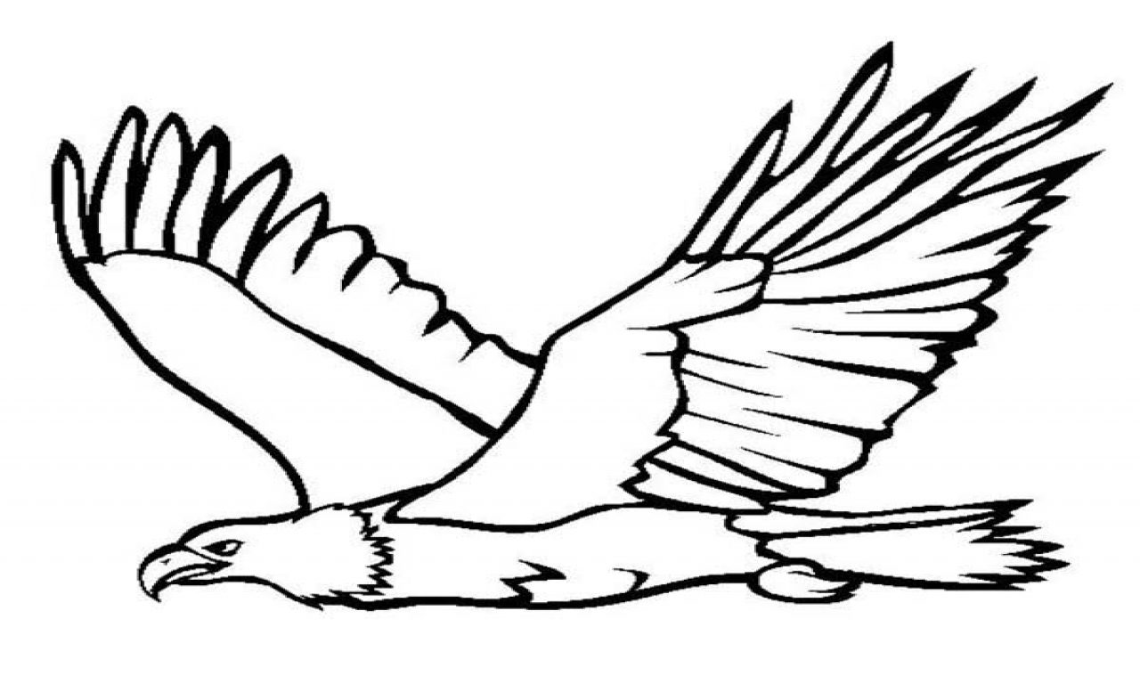 1280x768 Fine Eagle Coloring Page Baby Head Free Golden Pages Printable