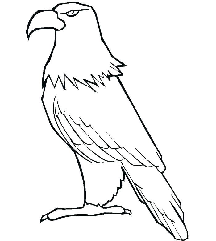 700x783 Harpy Eagle Coloring Page Harpy Eagle Kid Harpy Eagle Coloring