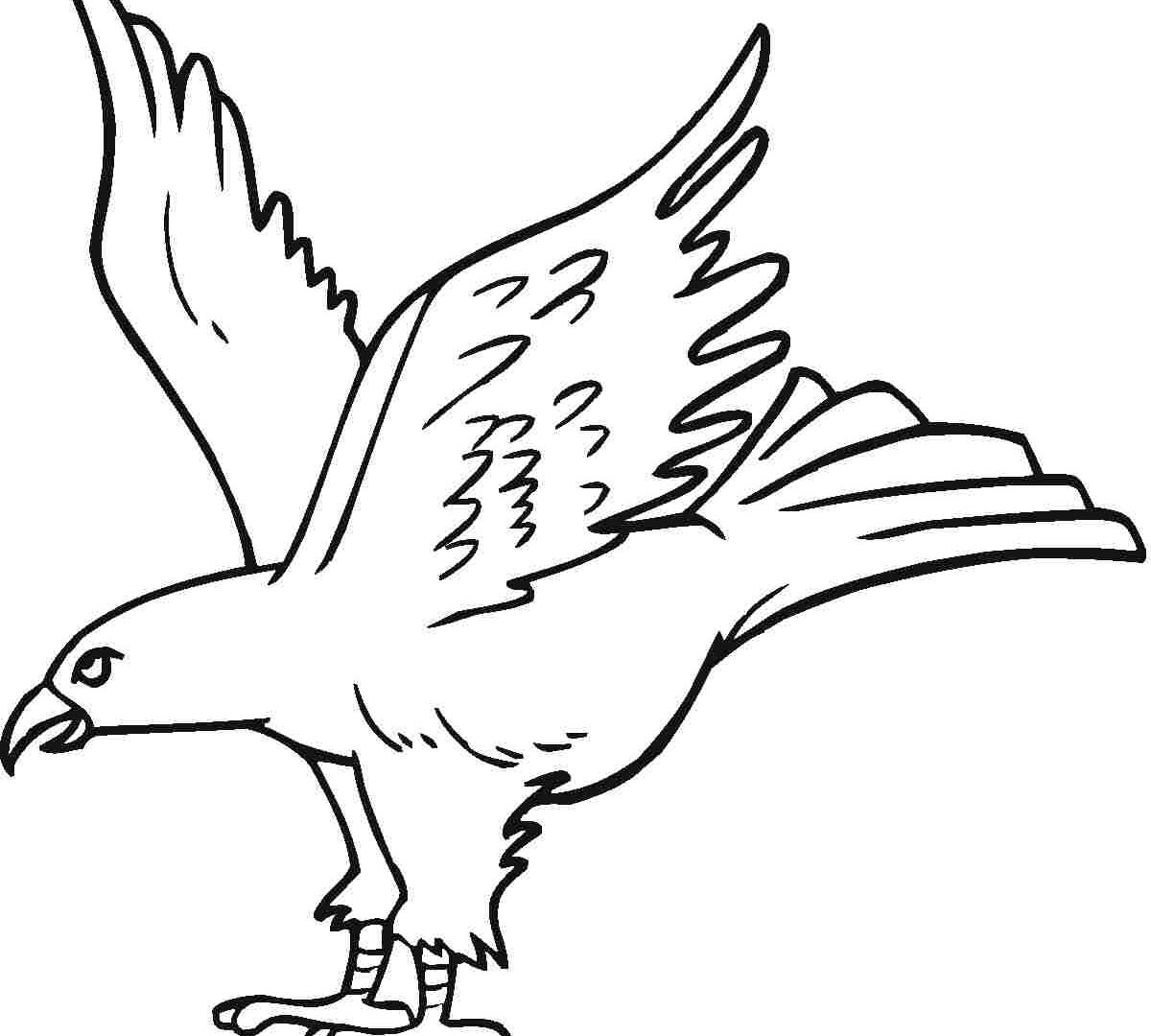 1200x1080 Unique Eagle Coloring Pages Realistic Page Printable Animals