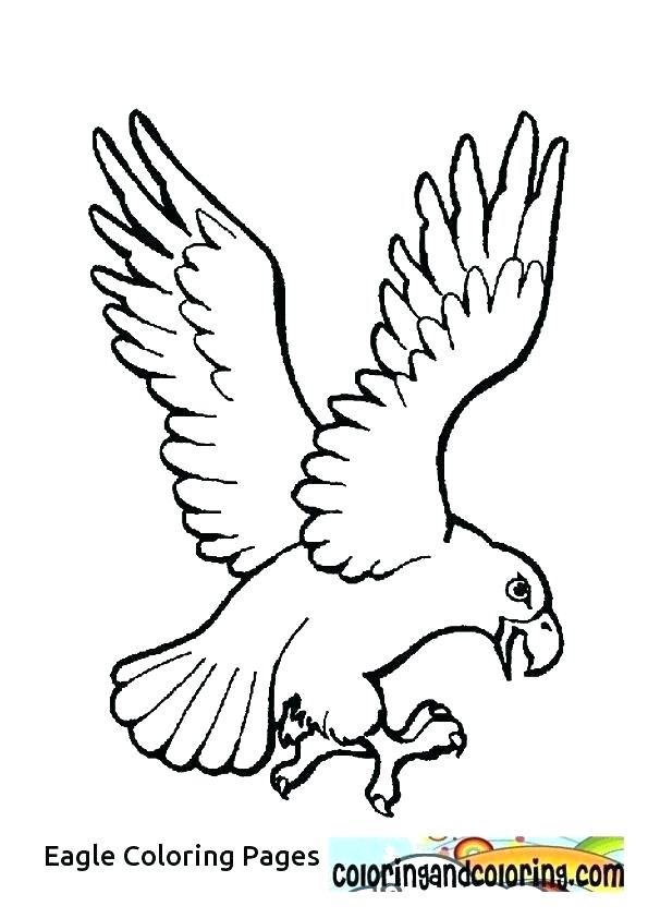595x842 Eagle Color Page