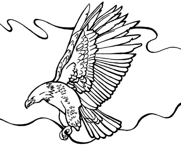 600x488 Bald Eagle Flying Around Coloring Page