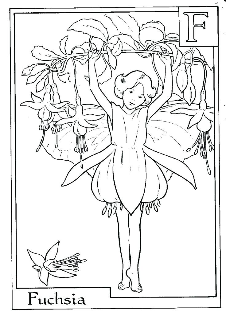 736x1025 Flower Fairy Coloring Pages Flower Fairies Coloring Pages Flying