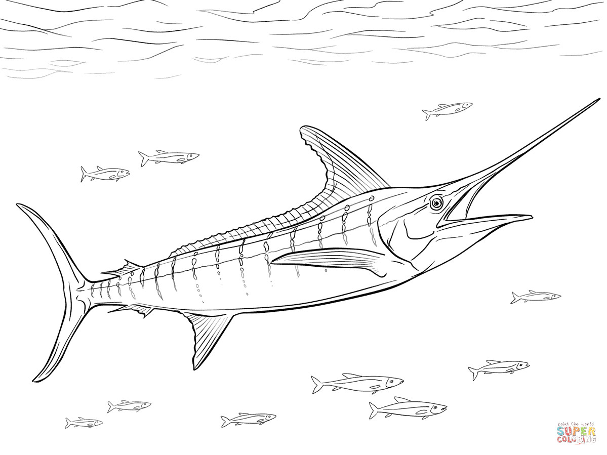 1199x899 Flying Fish Coloring Page Fiscalreform Unbelievable