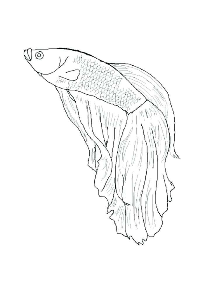 750x1000 Flying Fish Coloring Page Fish Coloring Pages Coloring Pages